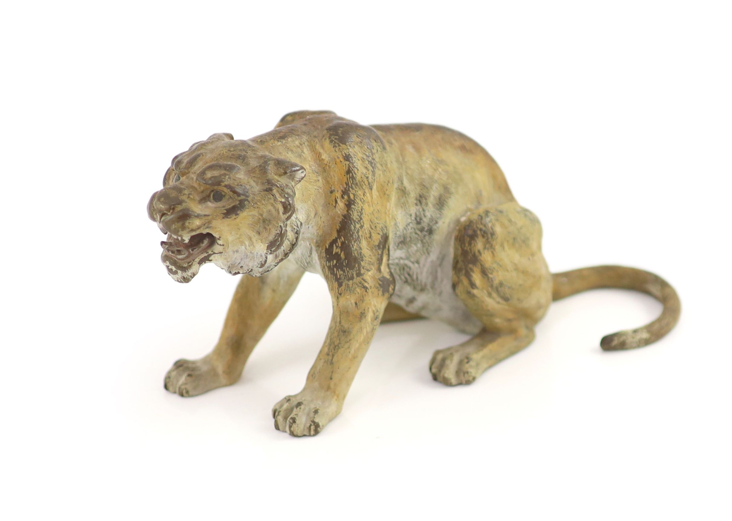 A Franz Bergman cold painted bronze model of a snarling tiger H 10cm. L 19cm.